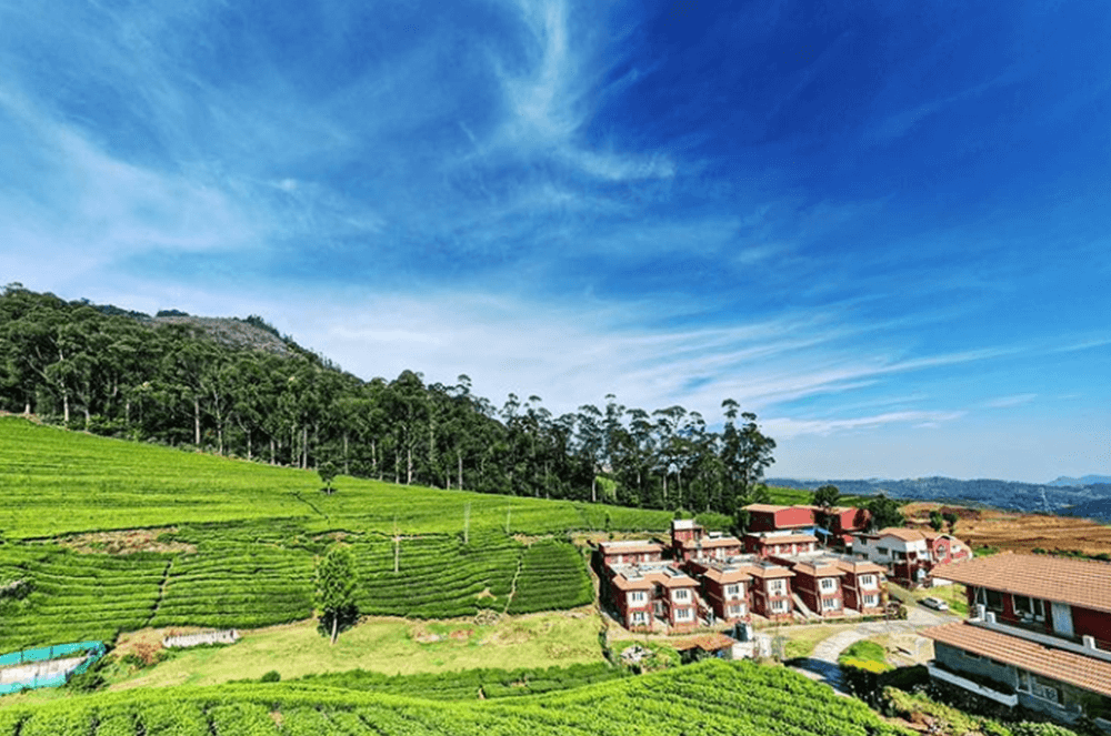 Landscape in India